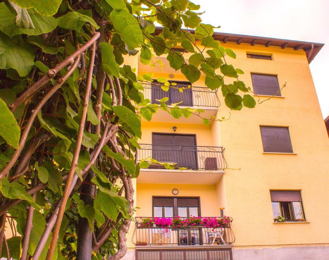 Apartamento Pergolato Alpino P.Terra Teglio Exterior foto